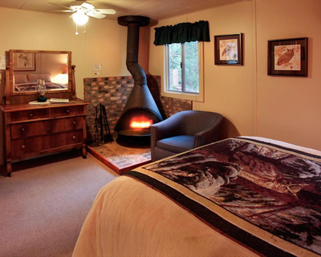 Silver Pines Lodge Idyllwild Esterno foto