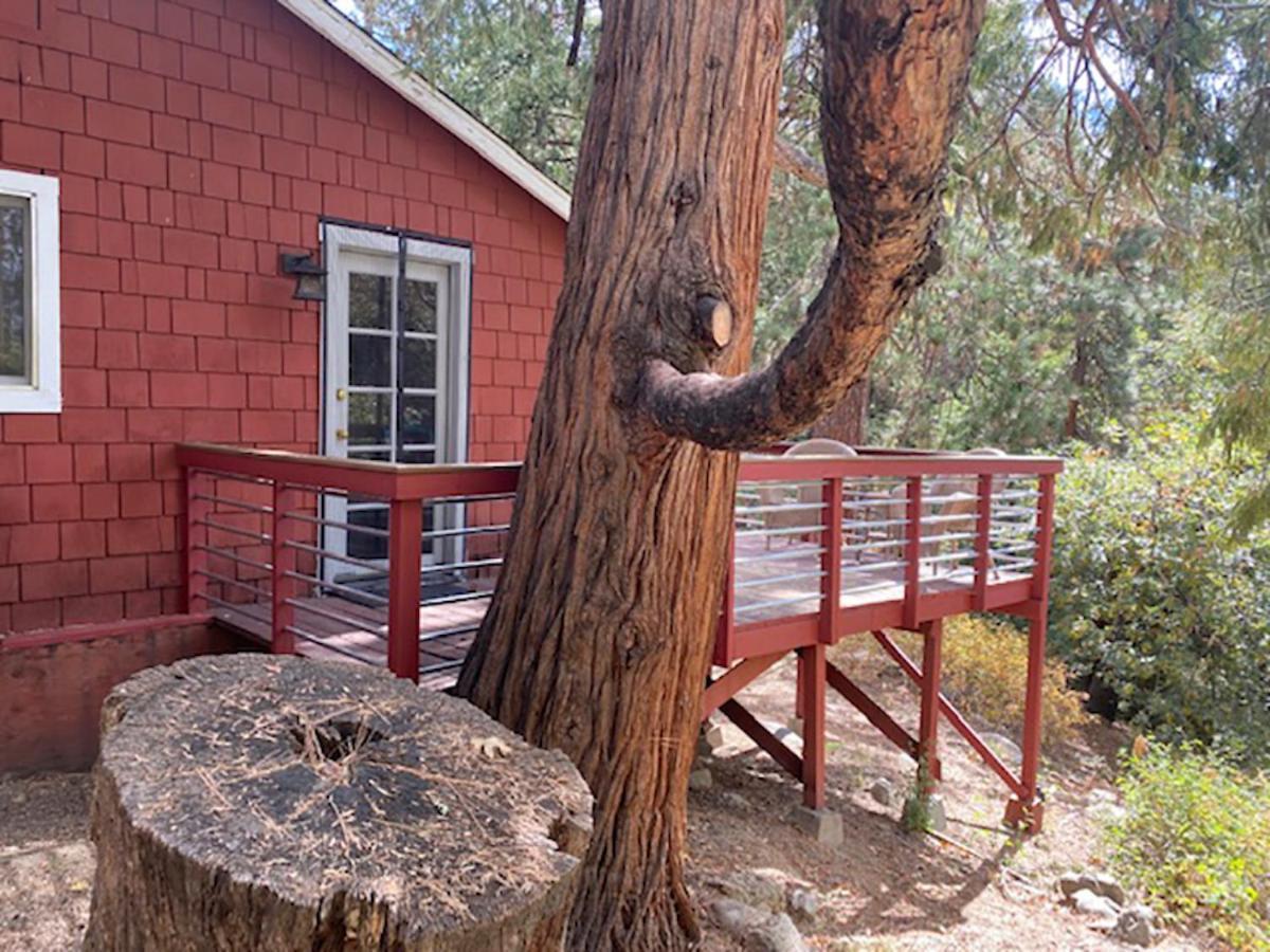 Silver Pines Lodge Idyllwild Esterno foto